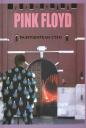 Владимир Владимирович Дрибущак. PINK FLOYD - Разрушители стен Владимир Владимирович Дрибущак. PINK FLOYD - Разрушители стен