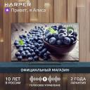 Телевизор Harper 32R730TS Телевизор Harper 32R730TS