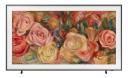 Телевизор Samsung QE65LS03D QLED 4K Ultra HD Телевизор Samsung QE65LS03D QLED 4K Ultra HD