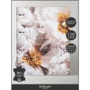 Тетрадь на кольцах общая Infolio Study "Beauty", А4 на 120 листов в клетку, жесткая обложка из искусственной кожи Тетрадь на кольцах общая Infolio Study "Beauty", А4 на 120 листов в клетку, жесткая обложка из искусственной кожи