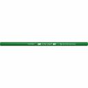 Карандаш для письма по стеклу, металлу, пластику Воскресенская карандашная фабрика ПП пакет 2М, 2B незаточенный 21P-1384 зеленый упаковка 25 шт 537181 Карандаш для письма по стеклу, металлу, пластику Воскресенская карандашная фабрика ПП пакет 2М, 2B незаточенный 21P-1384 зеленый упаковка 25 шт 537181