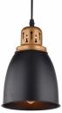 Подвесной светильник Arte Lamp Eurica A4248SP-1BK Подвесной светильник Arte Lamp Eurica A4248SP-1BK