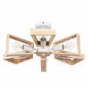 Потолочная люстра Arte Lamp BRUSSELS A8030PL-6WH Потолочная люстра Arte Lamp BRUSSELS A8030PL-6WH