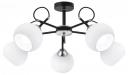 Люстра на штанге Citilux Стивен CL141251 Люстра на штанге Citilux Стивен CL141251