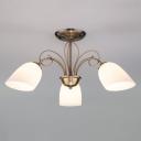 Потолочный светильник Eurosvet 30107 3 00000078346 Потолочный светильник Eurosvet 30107 3 00000078346