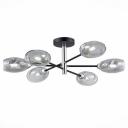 Потолочная люстра Evoluce Gloa SLE155512-06 шарики Потолочная люстра Evoluce Gloa SLE155512-06 шарики