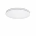 Накладной светильник Lightstar 225204 Накладной светильник Lightstar 225204