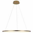 Подвесной светильник LOFT IT Ring 10014L Подвесной светильник LOFT IT Ring 10014L