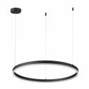 Подвесной светодиодный светильник Lumion Echo 6530/50L Подвесной светодиодный светильник Lumion Echo 6530/50L