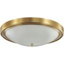 Настенно-потолочный светильник круглый латунь E27 4*60W Lumion Nina 5259/4C Настенно-потолочный светильник круглый латунь E27 4*60W Lumion Nina 5259/4C