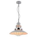 Подвесной светильник Lussole Loft Ketchikan LSP-8030 Подвесной светильник Lussole Loft Ketchikan LSP-8030