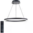 Подвесной светильник с черной арматурой с ПДУ светодиодный LAMPS 81295, 80W, черный, Natali Kovaltseva LED LIGHT 81295 кольцо Подвесной светильник с черной арматурой с ПДУ светодиодный LAMPS 81295, 80W, черный, Natali Kovaltseva LED LIGHT 81295 кольцо