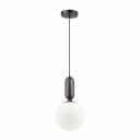Подвесной светильник Odeon Light 4668/1 Подвесной светильник Odeon Light 4668/1