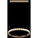 Светильник подвесной светодиодный с ПДУ Wertmark Vera WE458.01.343 кольцо Светильник подвесной светодиодный с ПДУ Wertmark Vera WE458.01.343 кольцо