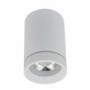 Потолочный светильник Aployt Edda APL.0054.09.10 Потолочный светильник Aployt Edda APL.0054.09.10