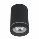 Потолочный светильник Aployt Edda APL.0054.19.10 Потолочный светильник Aployt Edda APL.0054.19.10