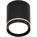 Потолочный светильник светодиодный с белым светом Denkirs DK401 DK4016-BK Потолочный светильник светодиодный с белым светом Denkirs DK401 DK4016-BK