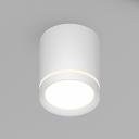 Накладной светильник Denkirs DK4016-WH Накладной светильник Denkirs DK4016-WH