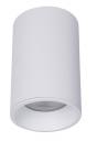 Потолочный светильник IP65 Maytoni Zoom C029CL-01-S-W Потолочный светильник IP65 Maytoni Zoom C029CL-01-S-W