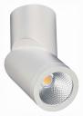 Светильник на штанге ST-Luce ST650 ST650.532.10 Светильник на штанге ST-Luce ST650 ST650.532.10
