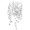 Бра Odeon Light ODL24 523 4970/3W G9 3*40W DELICA Прозрачный Бра Odeon Light ODL24 523 4970/3W G9 3*40W DELICA Прозрачный