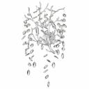 Бра Odeon Light Delica 4970/3W Бра Odeon Light Delica 4970/3W