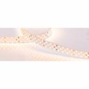 Светодиодная лента Arlight RT-A252-19mm 24V Warm3000 019927(2) Светодиодная лента Arlight RT-A252-19mm 24V Warm3000 019927(2)