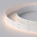 Лента светодиодная Arlight RT открытая 020391(2) Лента светодиодная Arlight RT открытая 020391(2)