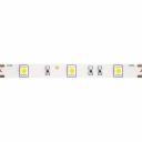 Светодиодная лента MAYTONI Led strip 10127 Светодиодная лента MAYTONI Led strip 10127