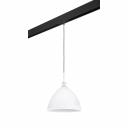 Трековый светильник Lightstar Agola PRO810030 (810030+595007) Трековый светильник Lightstar Agola PRO810030 (810030+595007)