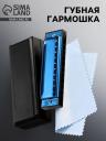 Губная гармошка Music Life T003 C диатоническая, 10 отверстий, с футляром, синяя Губная гармошка Music Life T003 C диатоническая, 10 отверстий, с футляром, синяя