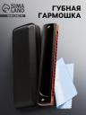 Губная гармошка Music Life T22K тремоло, с футляром Губная гармошка Music Life T22K тремоло, с футляром
