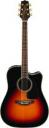 TAKAMINE G50 SERIES GD51CE-BSB TAKAMINE G50 SERIES GD51CE-BSB