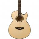 Акустически-электрическая гитара Washburn EA20 Mini Jumbo Акустически-электрическая гитара Washburn EA20 Mini Jumbo
