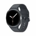 Умные часы Samsung Galaxy Watch8, 40 мм, Bluetooth/Wi-Fi, Graphite/Sport Graphite S/M Умные часы Samsung Galaxy Watch8, 40 мм, Bluetooth/Wi-Fi, Graphite/Sport Graphite S/M