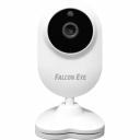 Сетевая беспроводная видеокамера Falcon Eye 00-00169961 Сетевая беспроводная видеокамера Falcon Eye 00-00169961