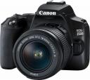Зеркальный фотоаппарат Canon EOS 250D Kit EF-S 18-55 DC III Зеркальный фотоаппарат Canon EOS 250D Kit EF-S 18-55 DC III
