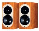 ASW Loudspeaker Genius 100