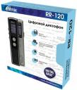 Диктофон Ritmix RR-120 4 Gb, черный (15119853) Диктофон Ritmix RR-120 4 Gb, черный (15119853)