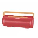 Портативная акустика Telefunken TF-PS1231B красный/оранжевый Портативная акустика Telefunken TF-PS1231B красный/оранжевый