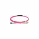 Оптический патч-корд TopLan PC-TOP-M54-12MPO(m)-12LC Оптический патч-корд TopLan PC-TOP-M54-12MPO(m)-12LC