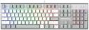 Клавиатура A4Tech Fstyler FS100 Neon механическая серый/белый USB for gamer LED (FS100) Клавиатура A4Tech Fstyler FS100 Neon механическая серый/белый USB for gamer LED (FS100)