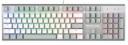 Клавиатура A4Tech Fstyler FS100 Neon механическая, цвет: серый/белый, USB for gamer LED (FS100) 2000253 Клавиатура A4Tech Fstyler FS100 Neon механическая, цвет: серый/белый, USB for gamer LED (FS100) 2000253