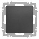 6-109-07 Кнопка Intro Accent 6-109-07 10А-250В IP20 СУ AL/CU графит, цена за 1 шт 6-109-07 Кнопка Intro Accent 6-109-07 10А-250В IP20 СУ AL/CU графит, цена за 1 шт