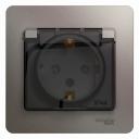 Розетка Systeme Electric Glossa встраиваемая платина со шторками (GSL001248) Розетка Systeme Electric Glossa встраиваемая платина со шторками (GSL001248)