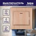 1-102-11 Выключатель Intro Plano 1-102-11 одноклавишный с подсветкой, 10А-250В, IP20, СУ, сосна, цена за 1 шт 1-102-11 Выключатель Intro Plano 1-102-11 одноклавишный с подсветкой, 10А-250В, IP20, СУ, сосна, цена за 1 шт