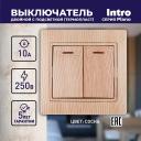 1-105-11 1-105-11 Intro Выключатель двойной с подсветкой, 10А-250В, IP20, СУ, Plano, сосна, цена за 1 шт 1-105-11 1-105-11 Intro Выключатель двойной с подсветкой, 10А-250В, IP20, СУ, Plano, сосна, цена за 1 шт