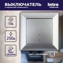 4-102-03 Выключатель Intro Solo 4-102-03 одноклавишный с подсветкой, 10А-250В, IP20, СУ, алюминий, цена за 1 шт 4-102-03 Выключатель Intro Solo 4-102-03 одноклавишный с подсветкой, 10А-250В, IP20, СУ, алюминий, цена за 1 шт