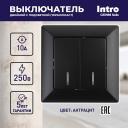 4-105-05 Выключатель Intro Solo 4-105-05 двухклавишный с подсветкой, 10А-250В, IP20, СУ, Solo, антрацит, цена за 1 шт 4-105-05 Выключатель Intro Solo 4-105-05 двухклавишный с подсветкой, 10А-250В, IP20, СУ, Solo, антрацит, цена за 1 шт