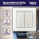 4-105-06 Выключатель Intro Solo 4-105-06 двухклавишный с подсветкой, 10А-250В, IP20, СУ, перламутр, цена за 1 шт 4-105-06 Выключатель Intro Solo 4-105-06 двухклавишный с подсветкой, 10А-250В, IP20, СУ, перламутр, цена за 1 шт